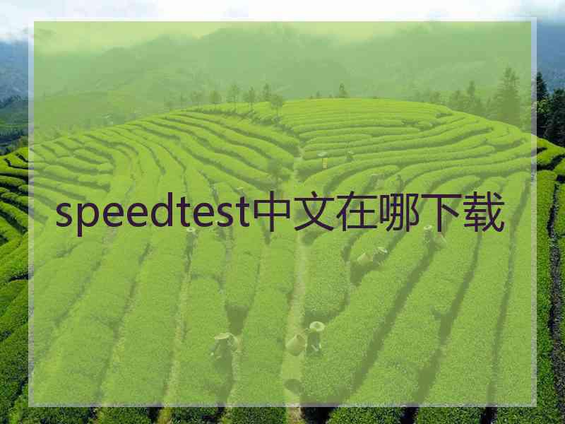 speedtest中文在哪下载