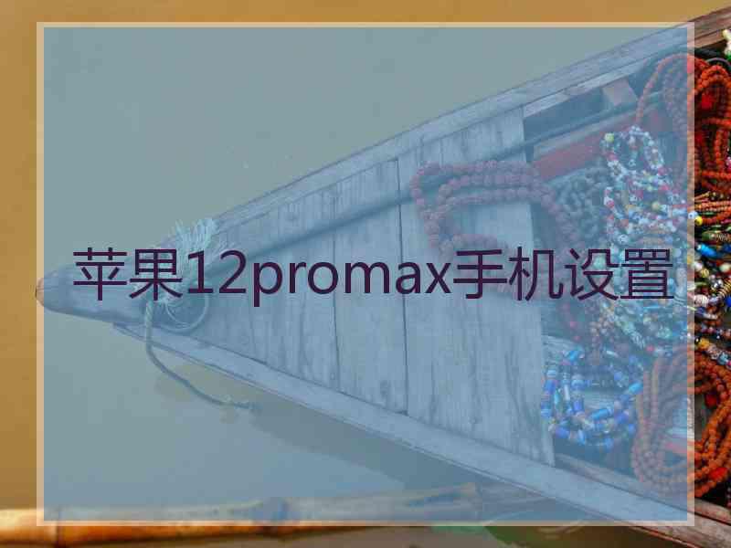 苹果12promax手机设置