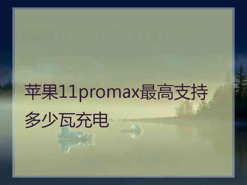 苹果11promax最高支持多少瓦充电