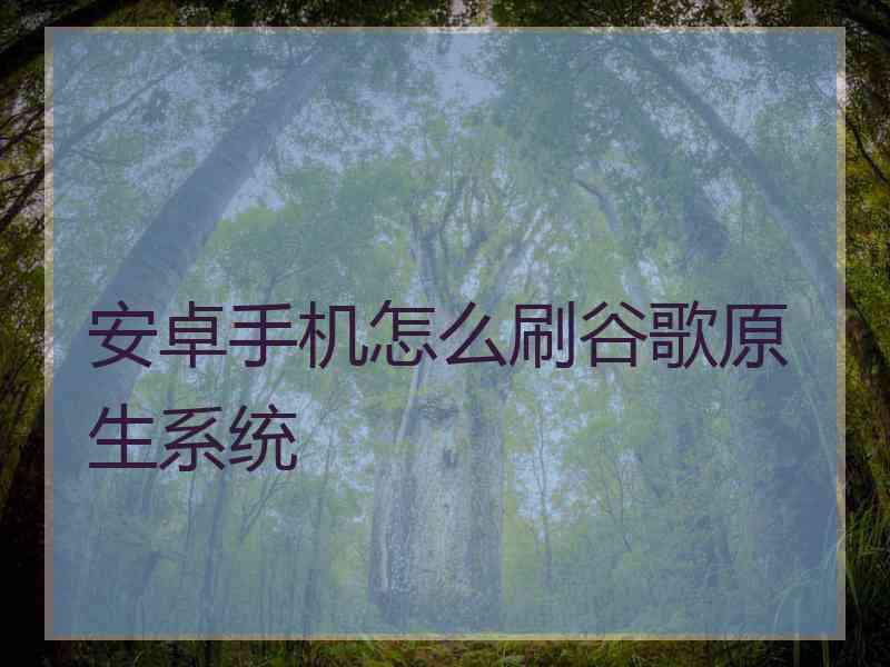 安卓手机怎么刷谷歌原生系统