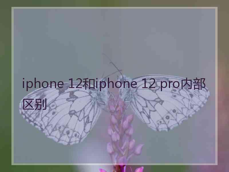 iphone 12和iphone 12 pro内部区别