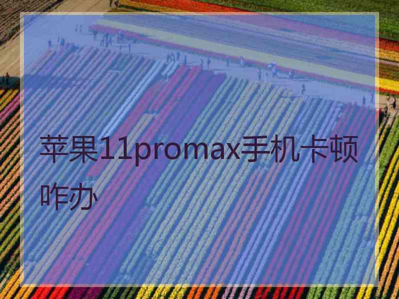 苹果11promax手机卡顿咋办