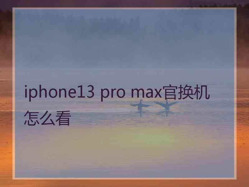 iphone13 pro max官换机怎么看