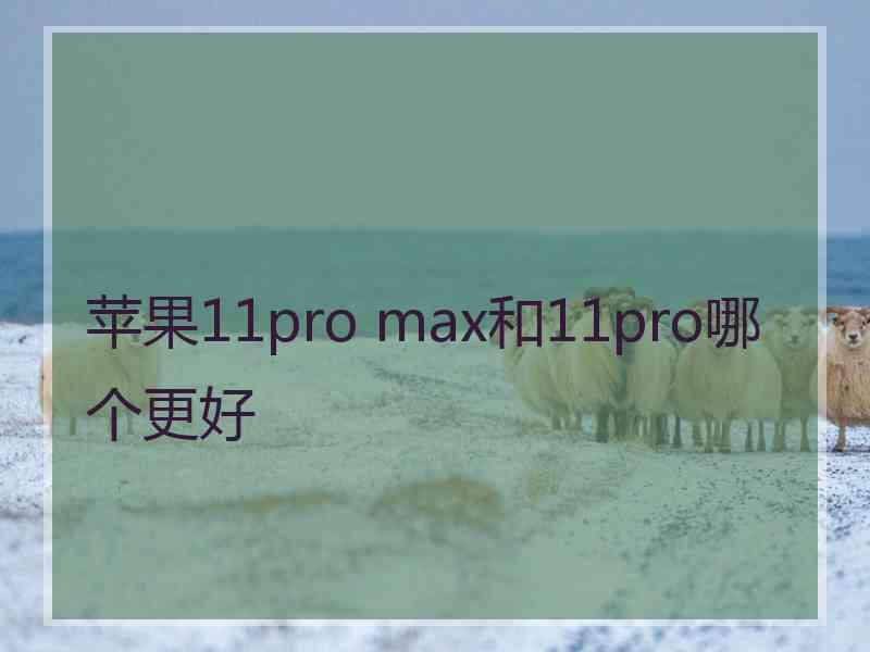 苹果11pro max和11pro哪个更好