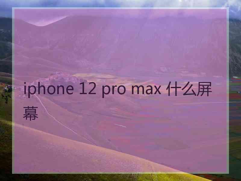 iphone 12 pro max 什么屏幕