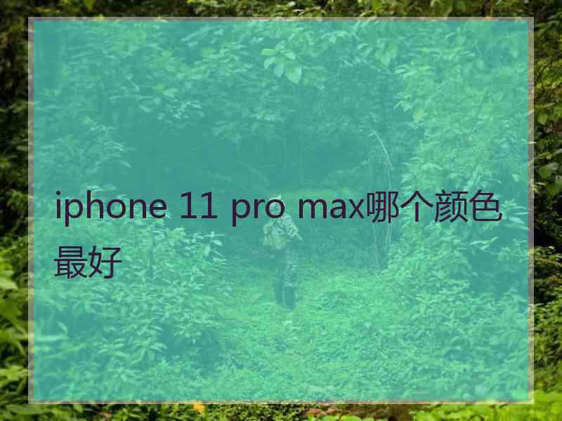 iphone 11 pro max哪个颜色最好