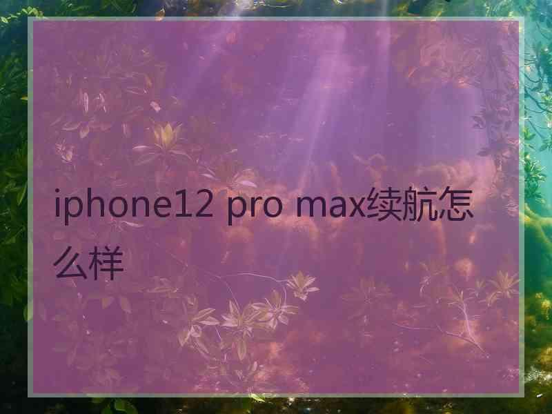 iphone12 pro max续航怎么样