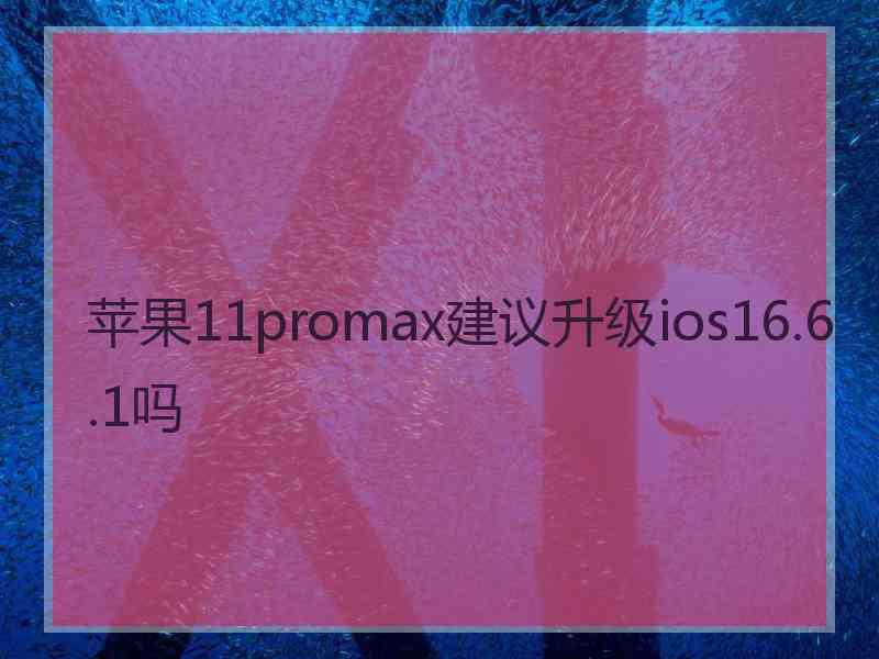 苹果11promax建议升级ios16.6.1吗