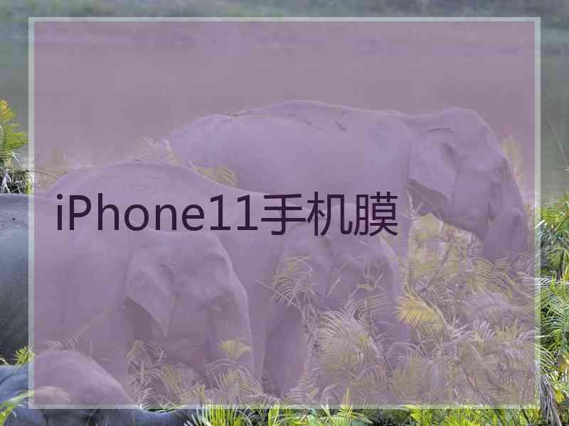 iPhone11手机膜