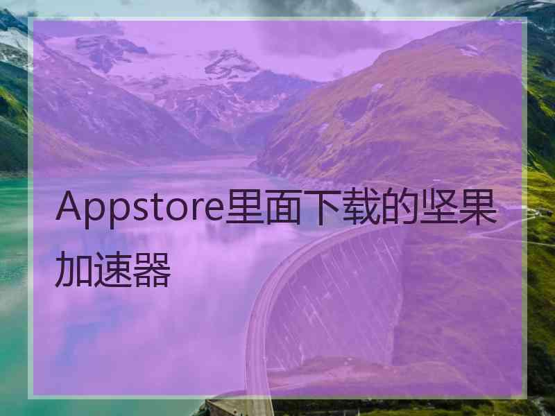 Appstore里面下载的坚果加速器