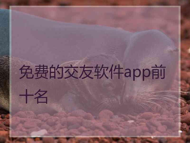 免费的交友软件app前十名