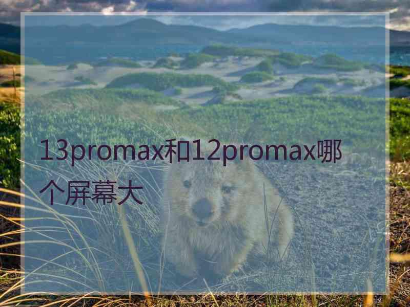 13promax和12promax哪个屏幕大