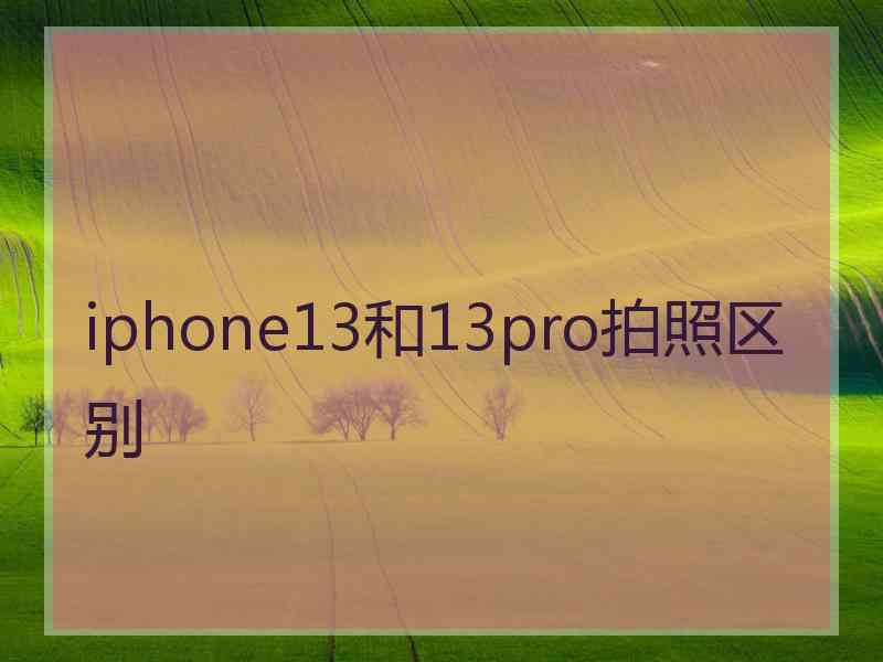 iphone13和13pro拍照区别