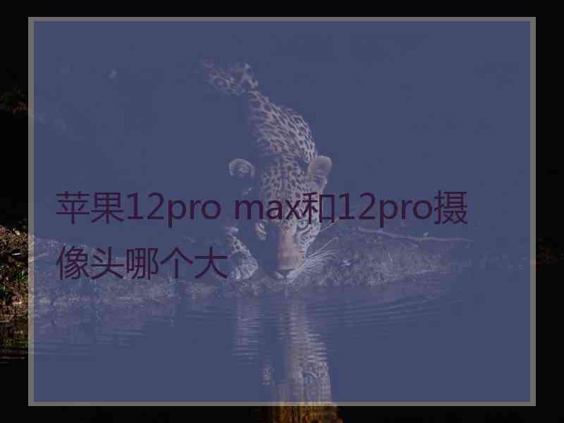 苹果12pro max和12pro摄像头哪个大