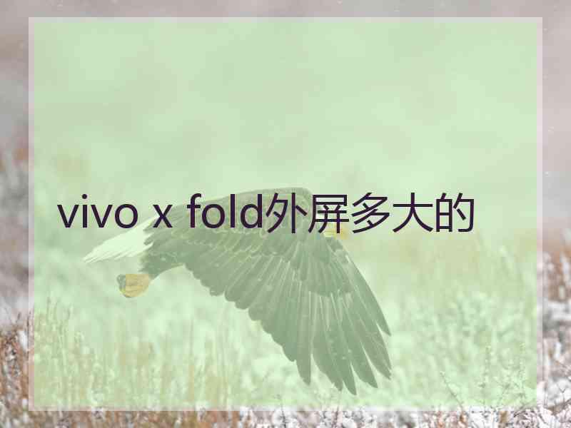 vivo x fold外屏多大的