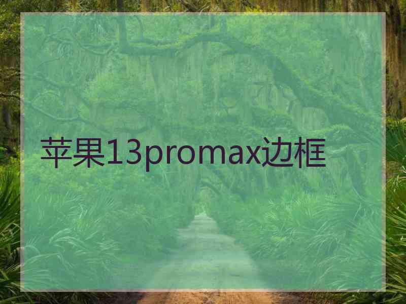 苹果13promax边框