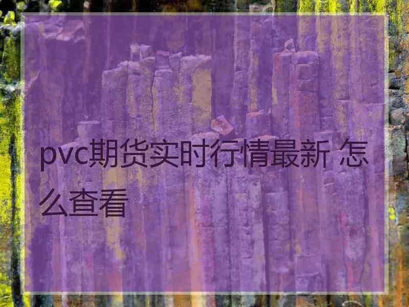 pvc期货实时行情最新 怎么查看