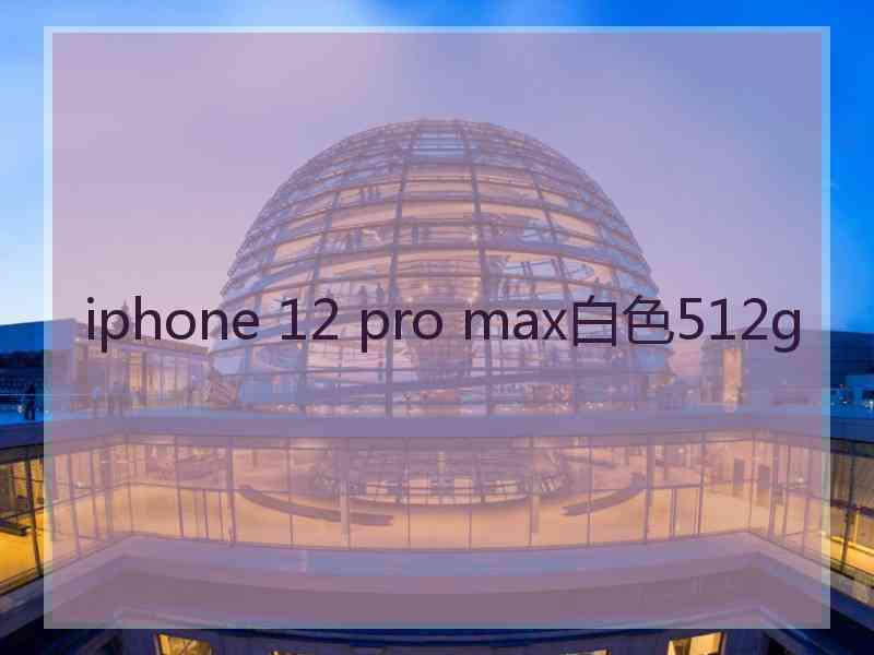 iphone 12 pro max白色512g