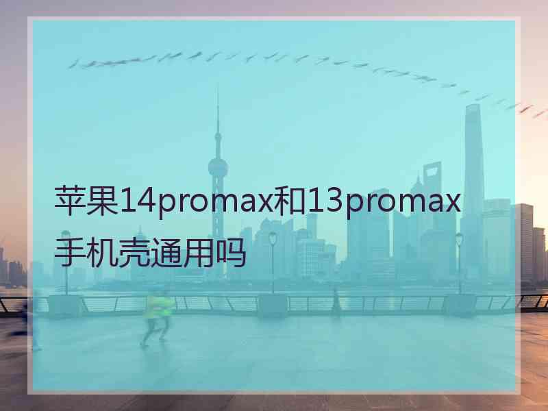 苹果14promax和13promax手机壳通用吗