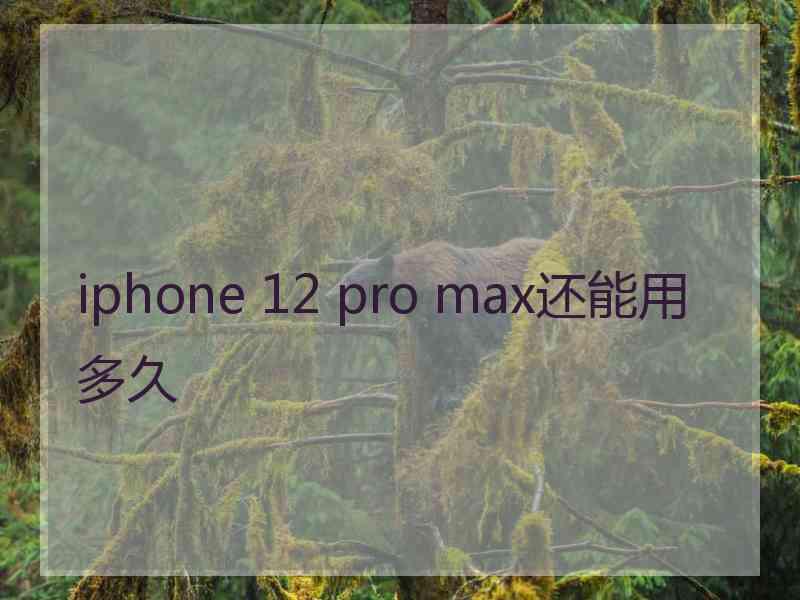 iphone 12 pro max还能用多久