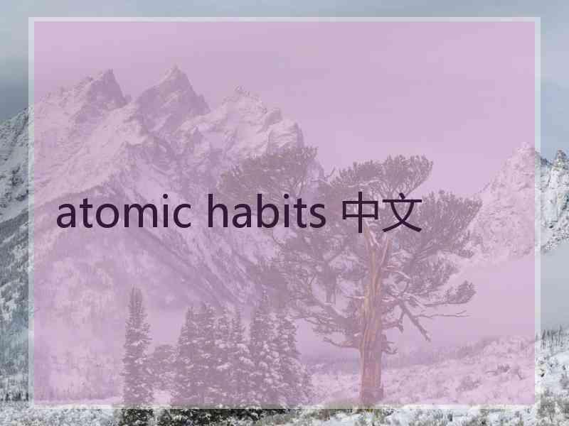 atomic habits 中文