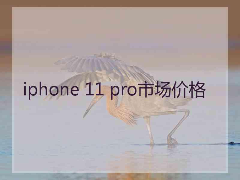 iphone 11 pro市场价格