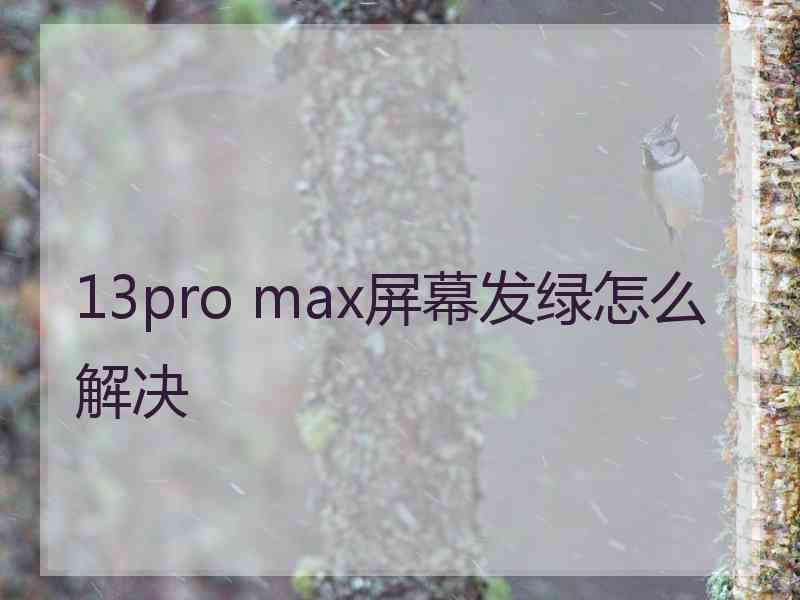 13pro max屏幕发绿怎么解决