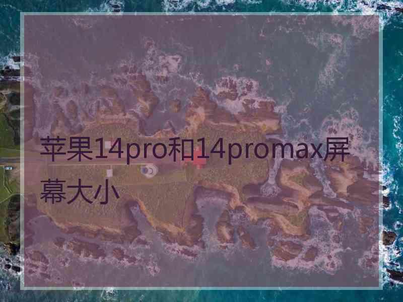 苹果14pro和14promax屏幕大小