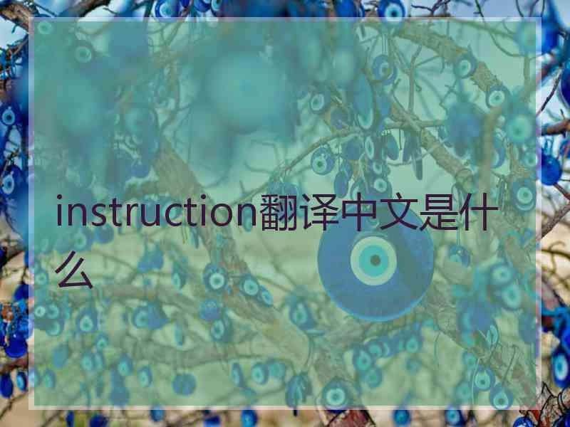 instruction翻译中文是什么