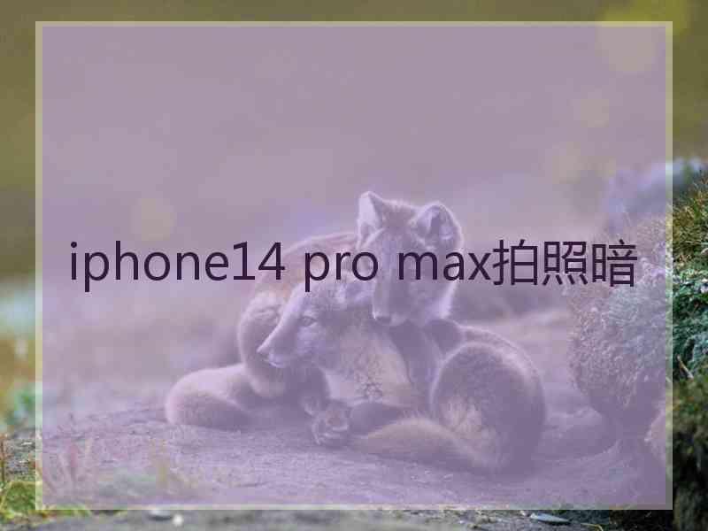 iphone14 pro max拍照暗