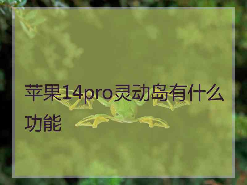 苹果14pro灵动岛有什么功能