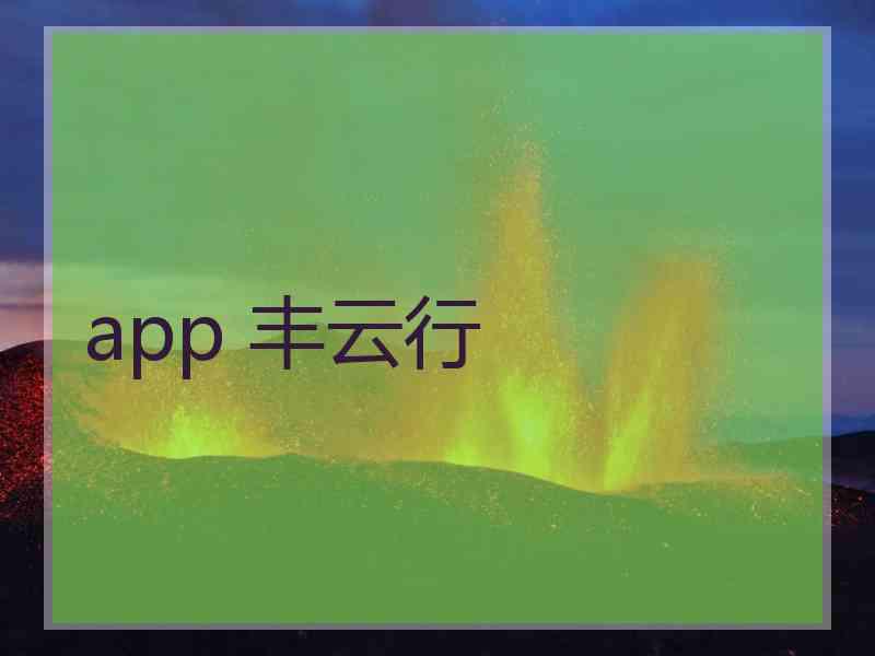 app 丰云行