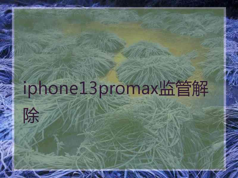 iphone13promax监管解除