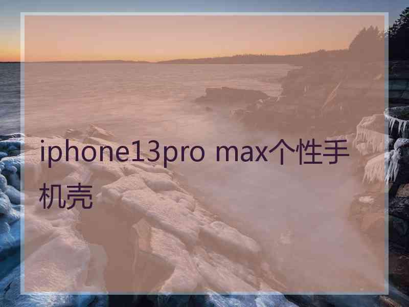 iphone13pro max个性手机壳