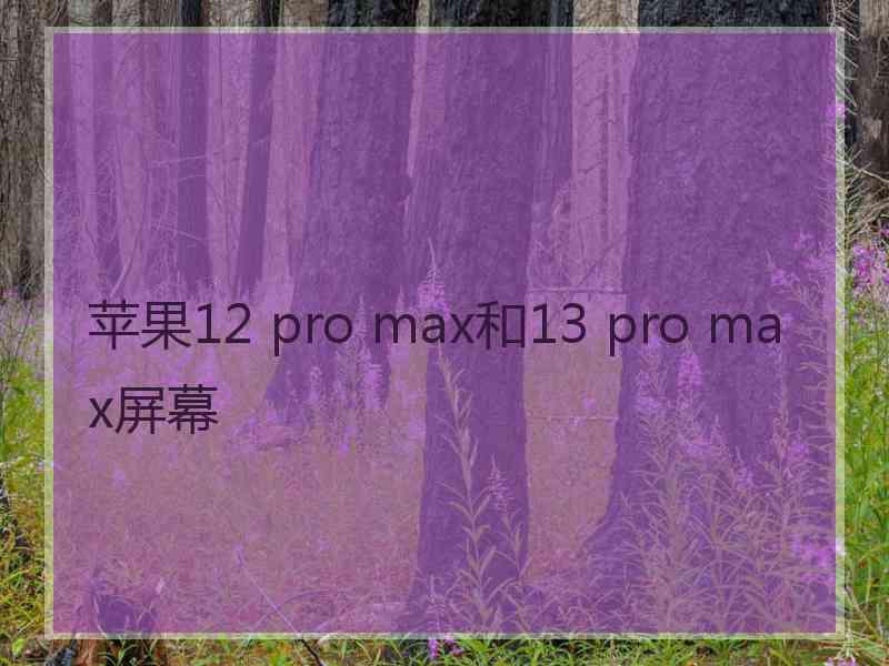 苹果12 pro max和13 pro max屏幕