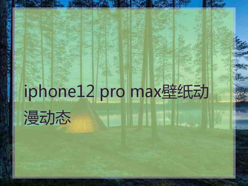 iphone12 pro max壁纸动漫动态