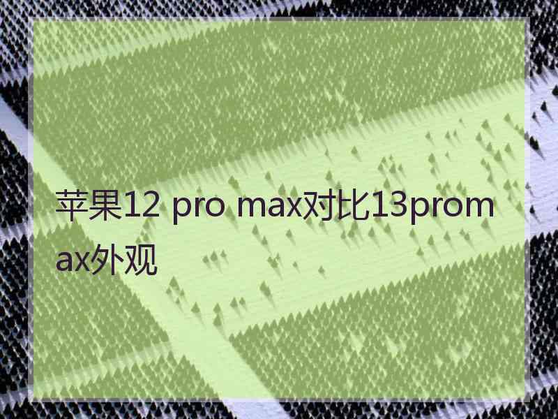 苹果12 pro max对比13promax外观