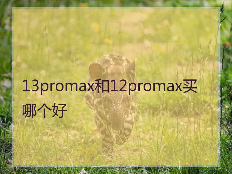 13promax和12promax买哪个好