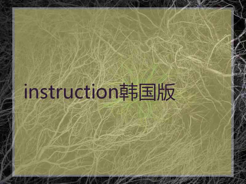 instruction韩国版