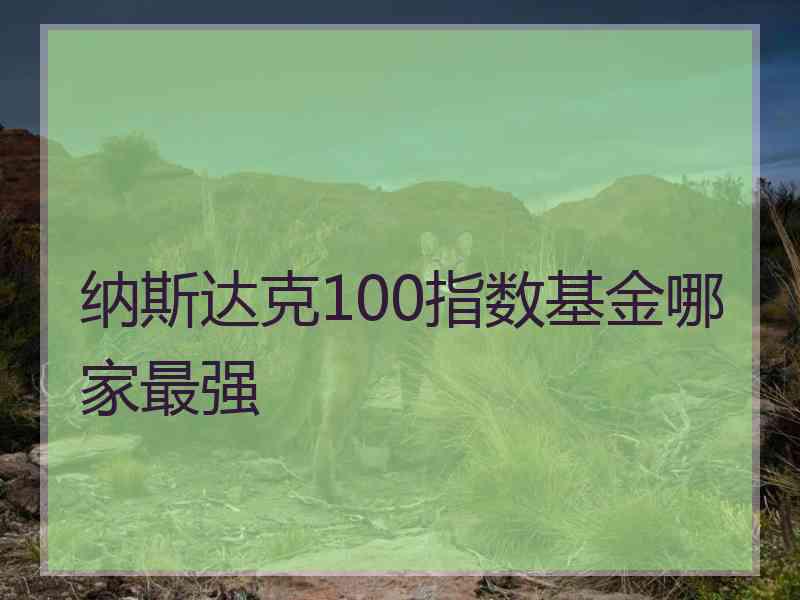 纳斯达克100指数基金哪家最强