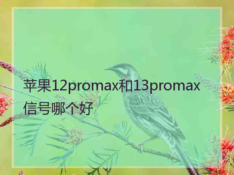 苹果12promax和13promax信号哪个好