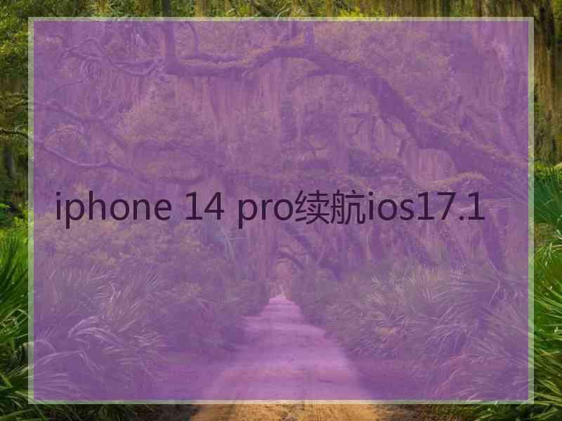 iphone 14 pro续航ios17.1