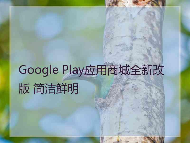 Google Play应用商城全新改版 简洁鲜明