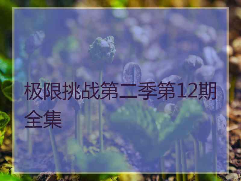 极限挑战第二季第12期全集