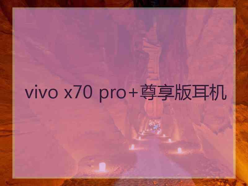 vivo x70 pro+尊享版耳机