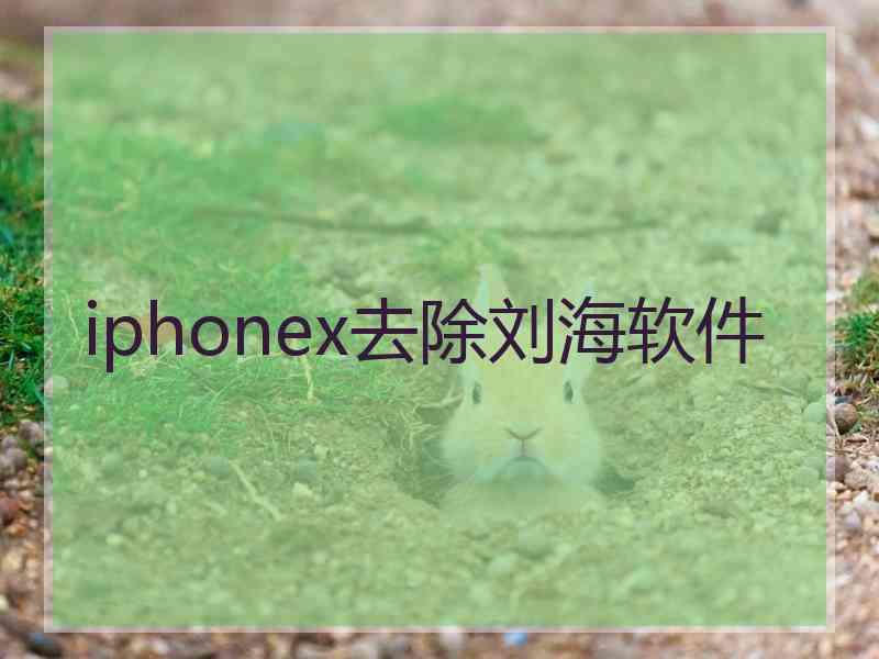 iphonex去除刘海软件