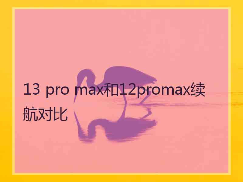 13 pro max和12promax续航对比