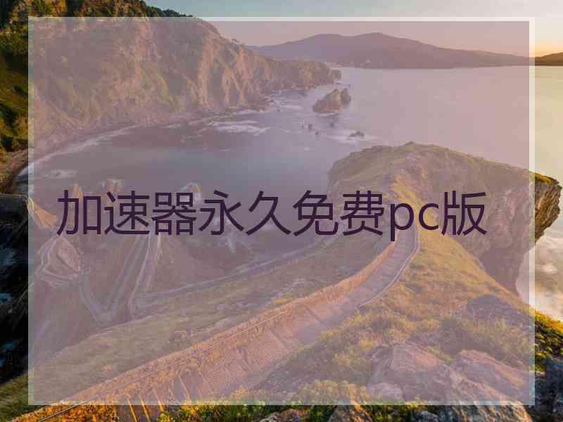 加速器永久免费pc版