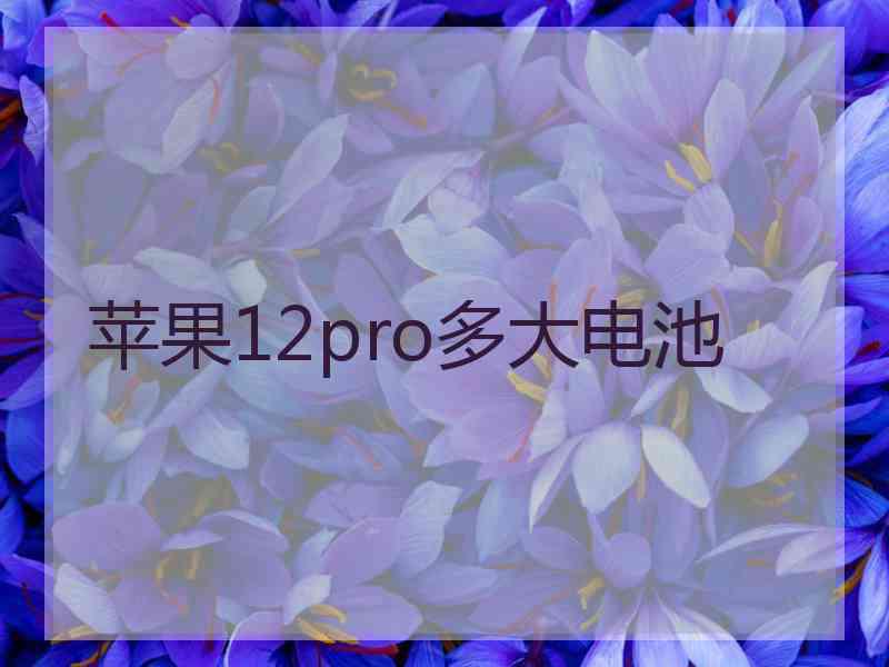 苹果12pro多大电池