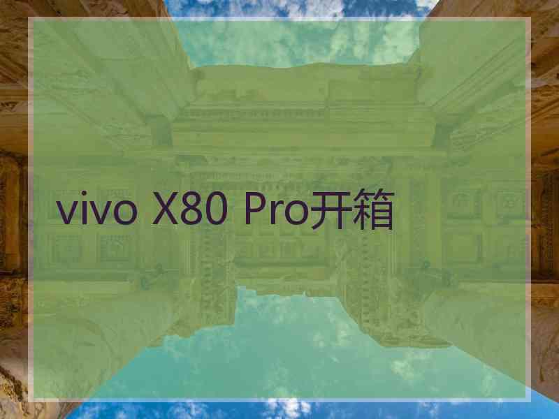 vivo X80 Pro开箱